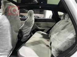 بي واي دي سونغ بلس